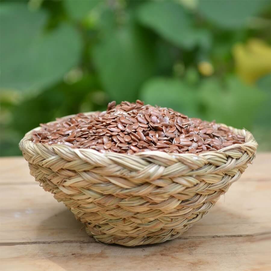 Aalam Vithai / Banyan Tree Seed Powder