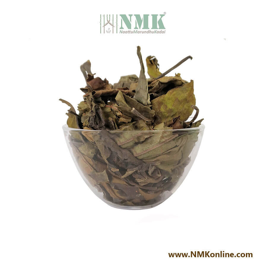 Aada Thodai Ilai / Malabar Nut Dried Leaves (Raw)