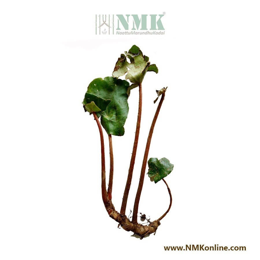 Kal Thamarai / Kumarika Leaves Dried (Raw)